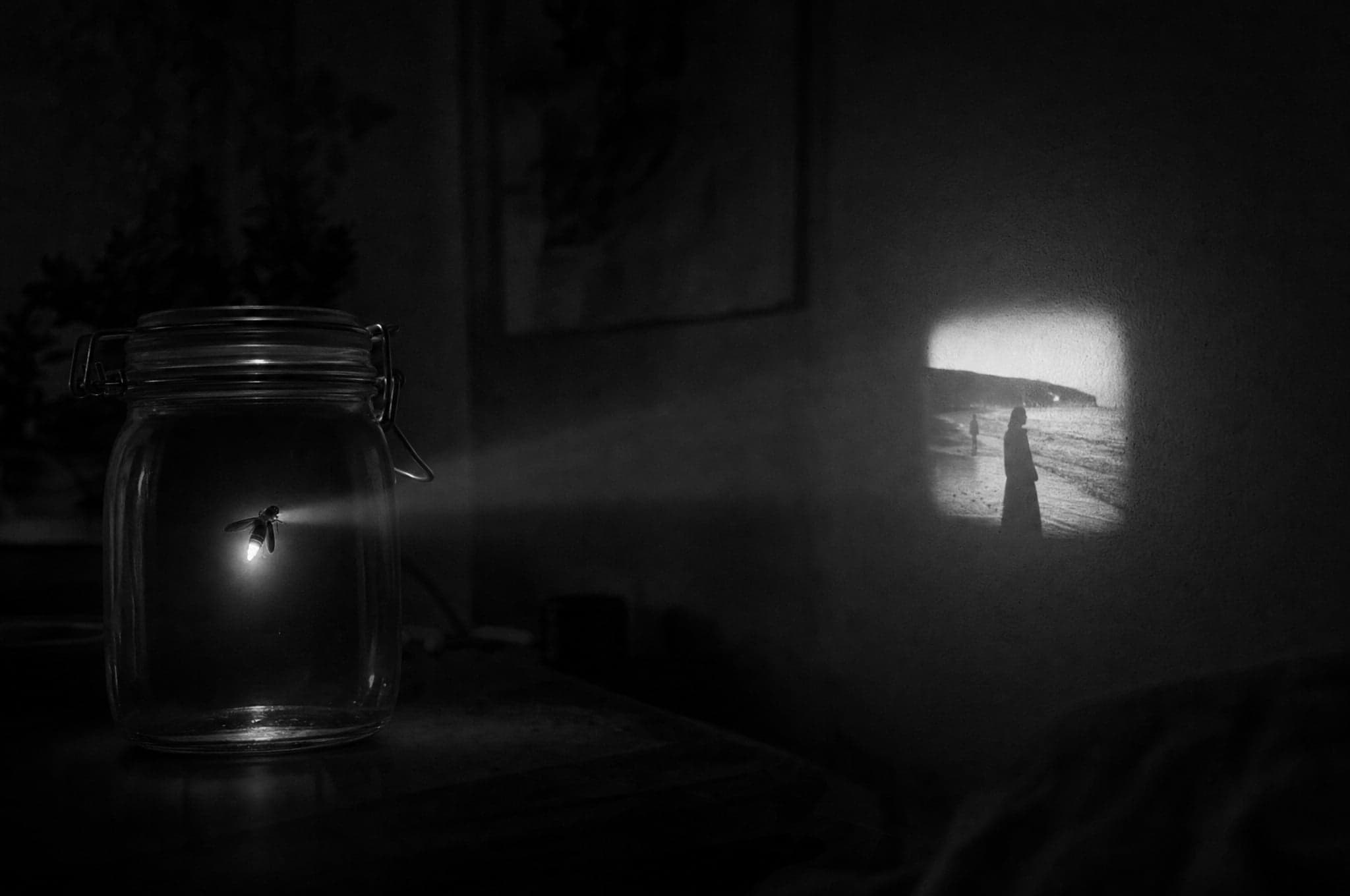Creating Award-Winning Short Films · From concept to festival circuit.